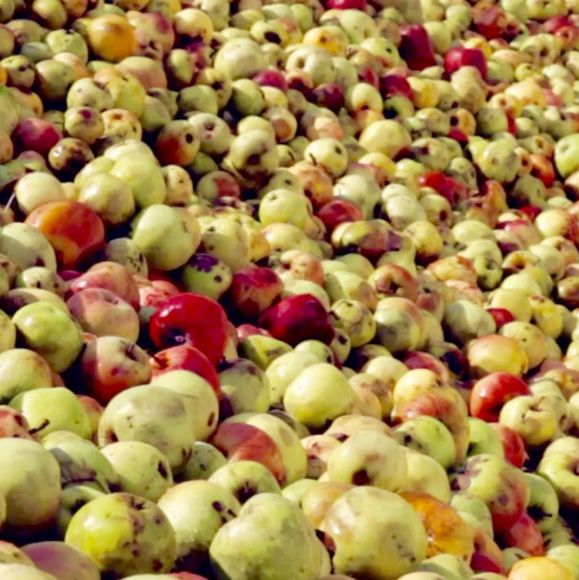 Izeta Iz Zumo Natural Manzana - Imagen 2