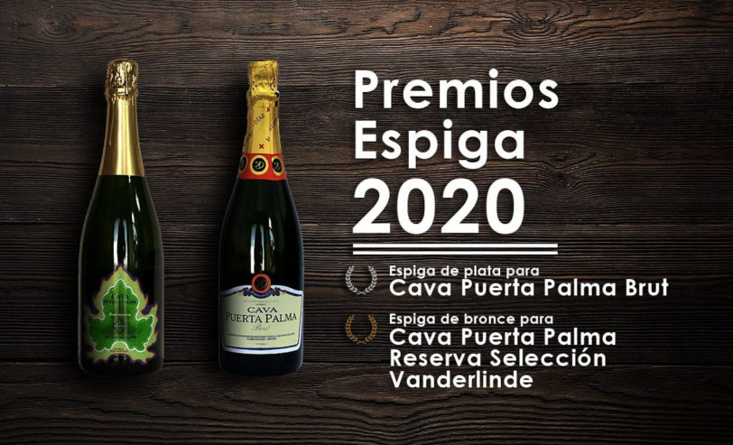 Marcelino Díaz Puerta Palma Brut Reserva Vanderlinde Caja 06 ud - Imagen 8