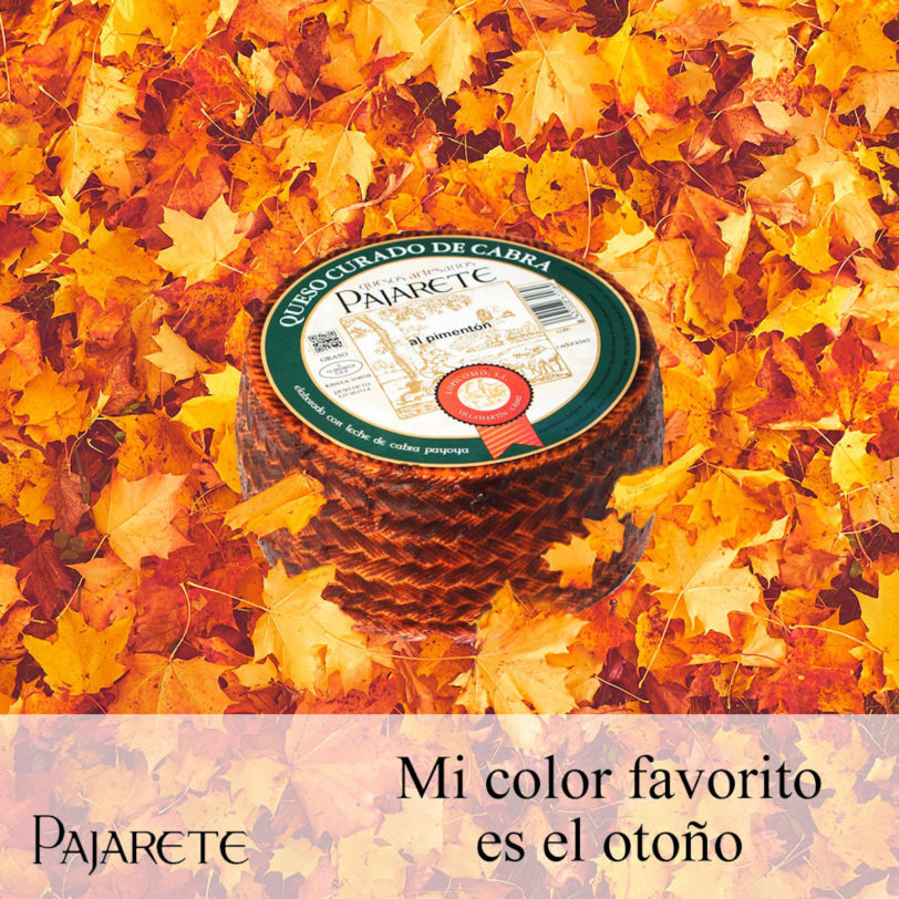 Queso Artesano de Cabra Payoya Curado al Pimentón Pajarete - Imagen 2