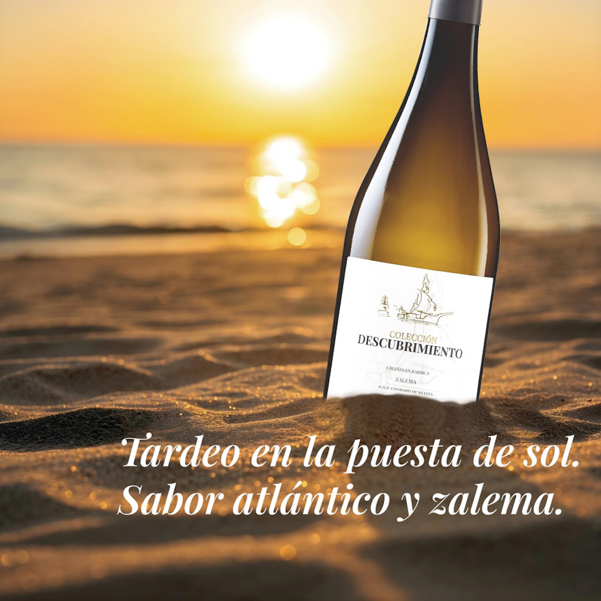 Marqués de Villalúa Colección Descubrimiento Caja 06 ud - Imagen 3