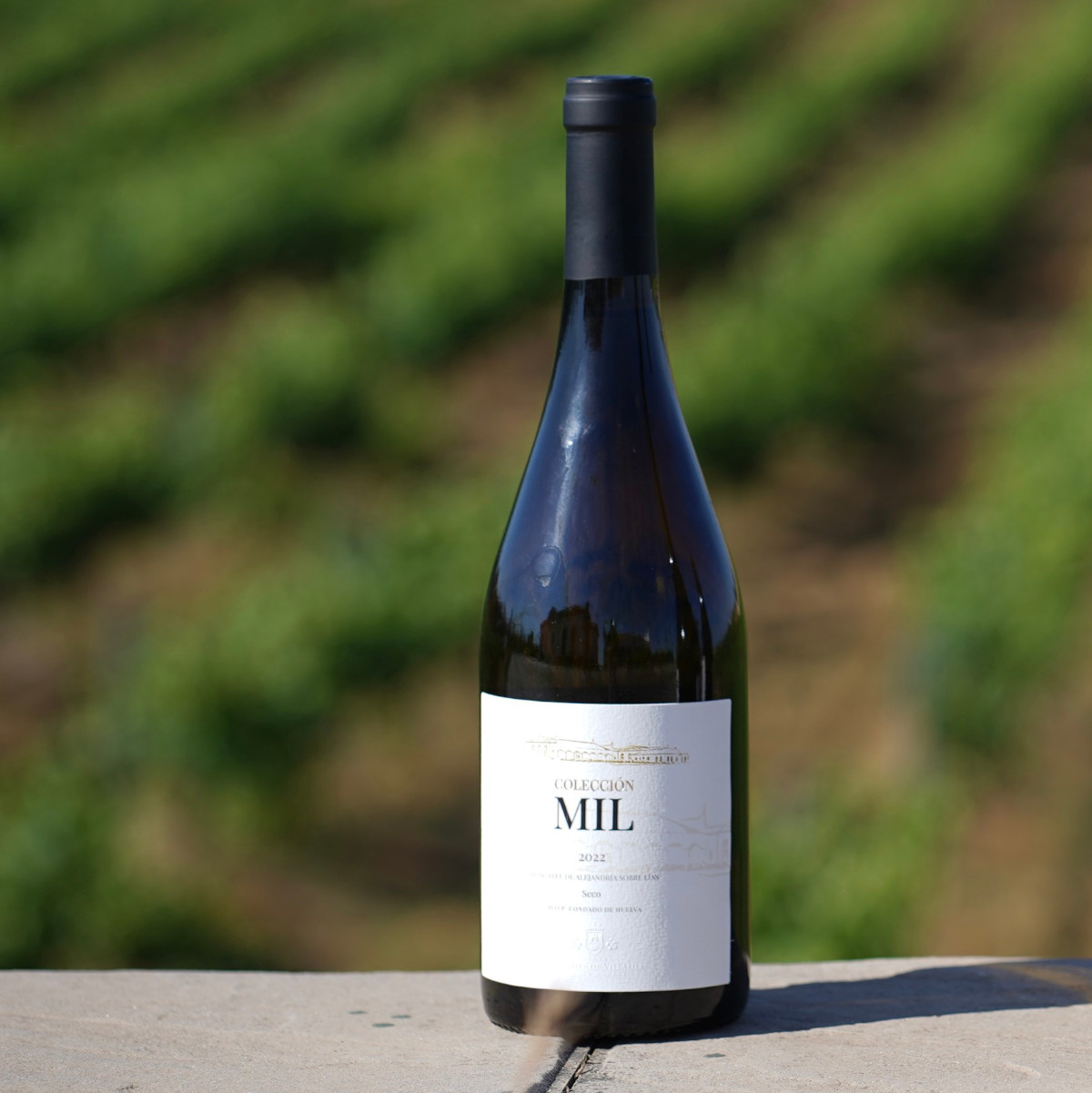 Marqués de Villalúa Colección Mil Caja 06 ud - Imagen 5