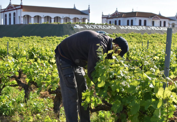 Marqués de Villalúa