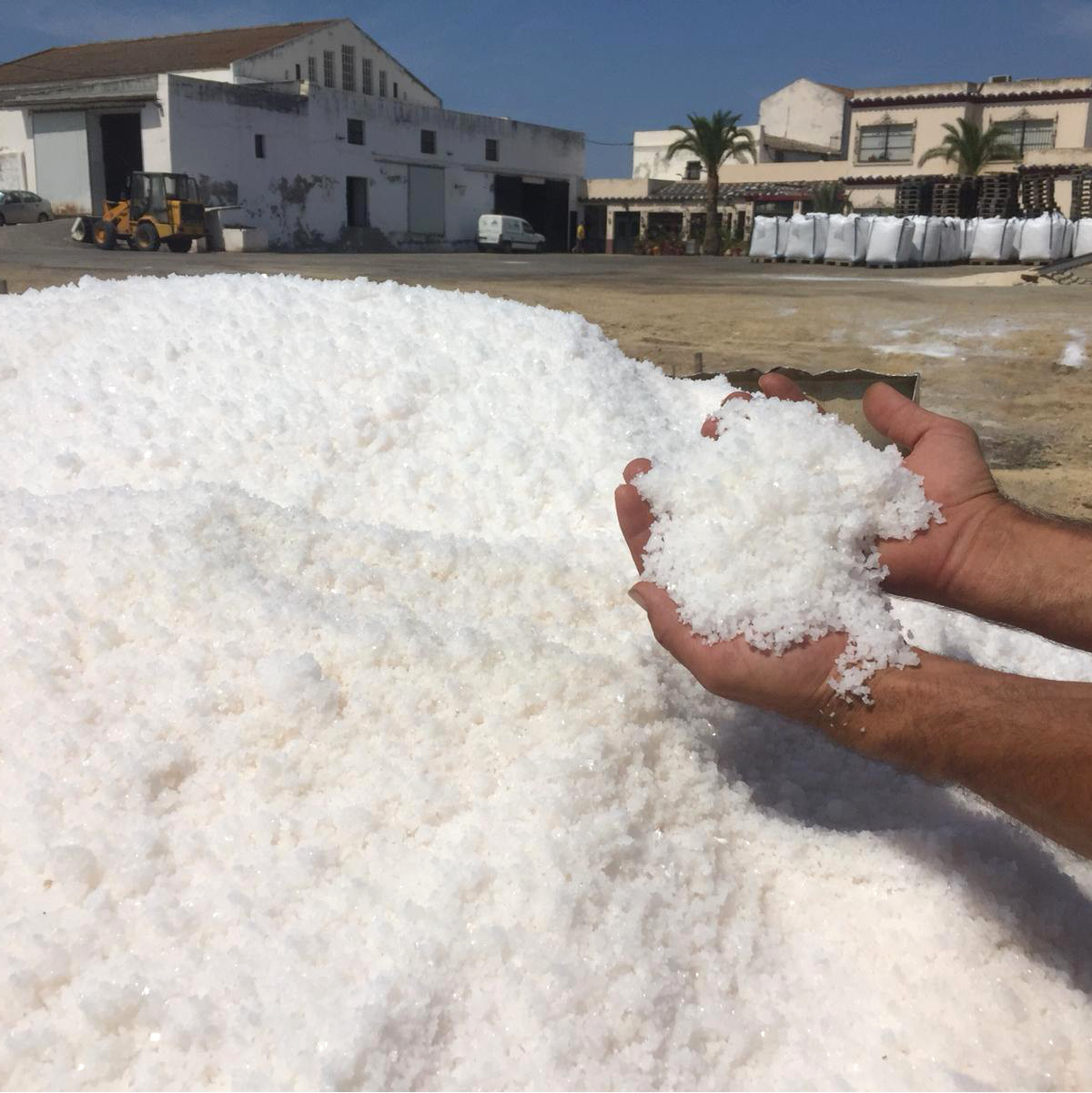 Salinas Bartivás Sal Marina Atlantica Virgen Ecológica Saco 25kg - Imagen 4